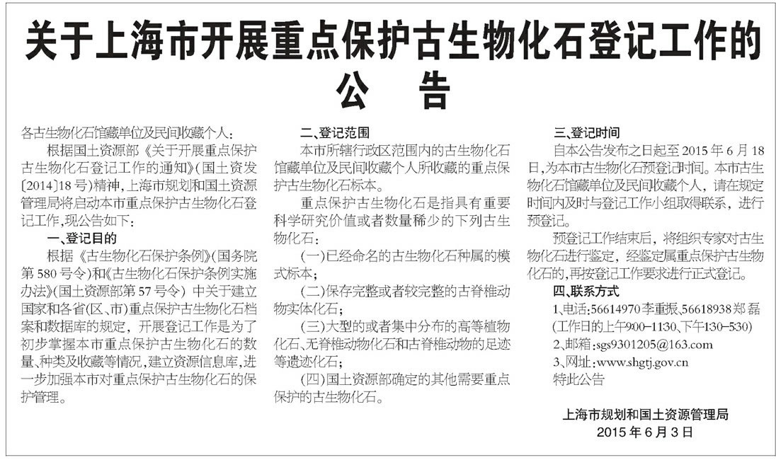 Ϻпչص㱣ﻯʯǼǹĹ