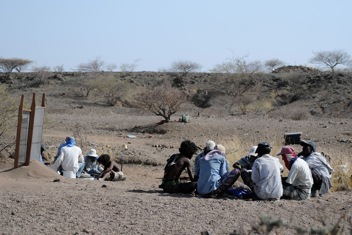 研究人员在埃塞俄比亚的阿法地区发现了一些古人类的上下颚化石,经过鉴定判断出这些化石属于距今330万—350万年间的一个此前未知的古人类物种。这个古人类物种已经被