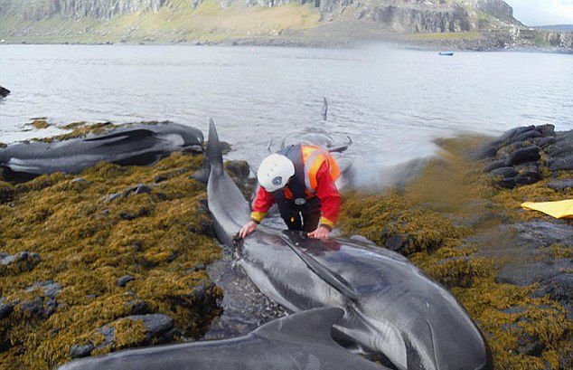 21ͷ�����캽����ǳ��Ӣ���ո���˹����������