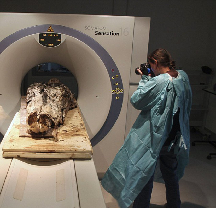 �����������һ�������޵�Ժ��ַ�±����ֵģ��������ڽ����µĻ�չ���ġ��ϰ��ŵ����屻װ������Ǧ���Ĺײ��У��Ա߷������ɷ������