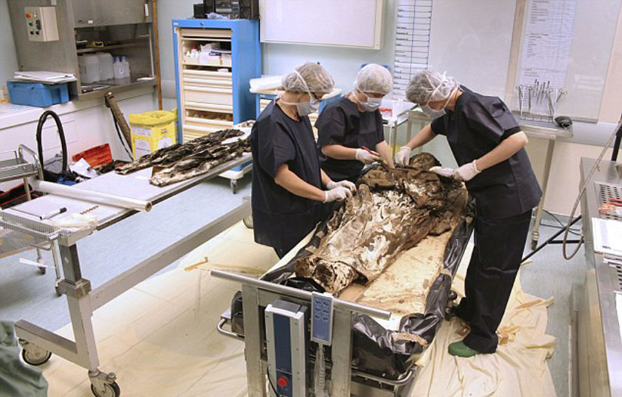 ��17���͵ķ����������ѹ����ߵ���Ҫ���ٸ����˻��ڽ̻�����һ�ֹ������ϰ��ſ��ܻ�����ɷ���������࣬��Я��һ������