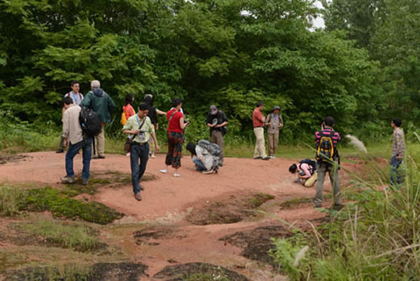 �λ��������Ǳɽ��ع���������Ҫ��ʯ�ص㣨��������ͼ��