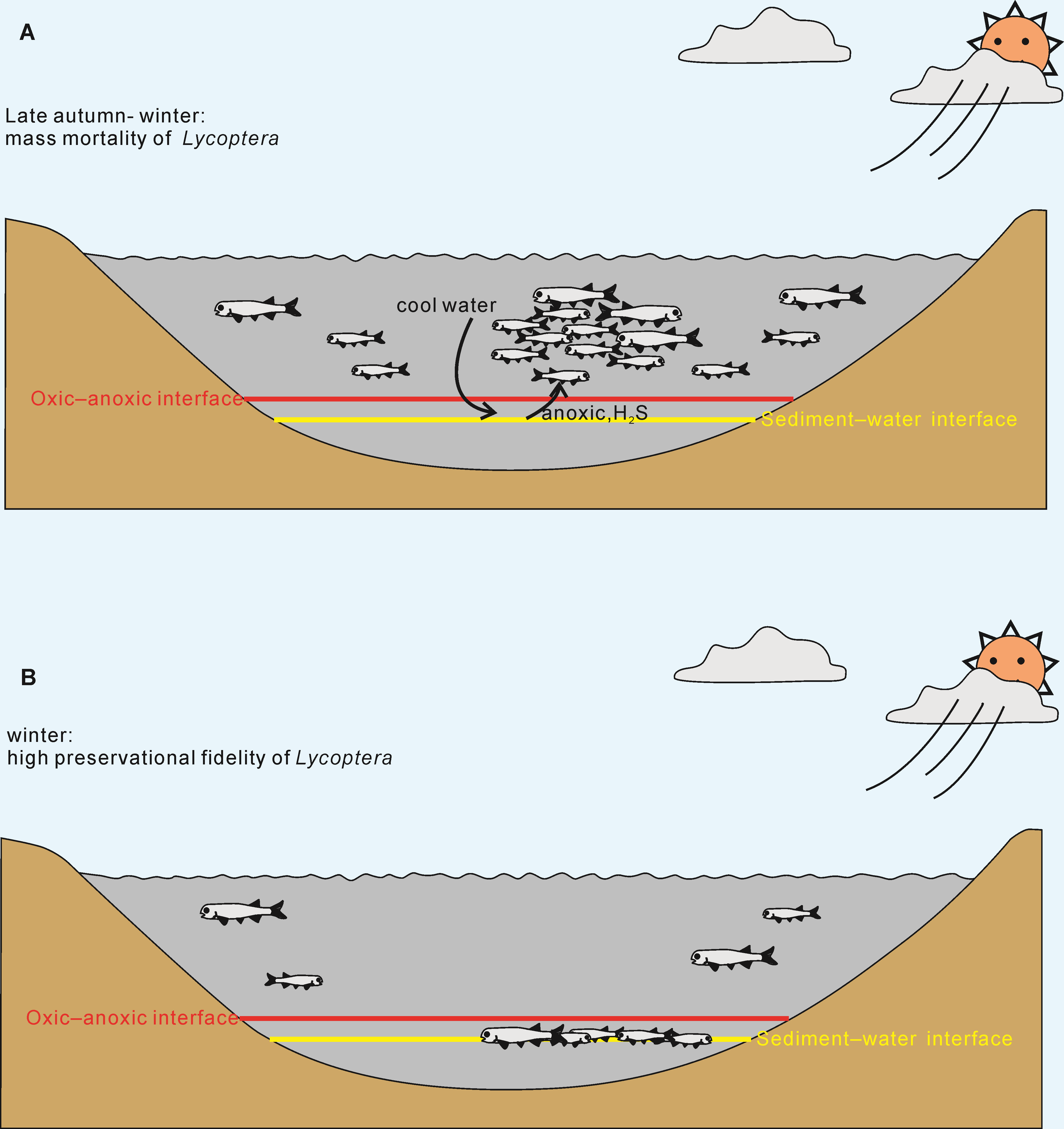 古生物学家找到狼鳍鱼群体死亡的原因:缺氧窒息