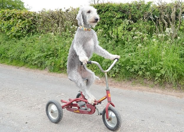 �����������3�ֳ����»���