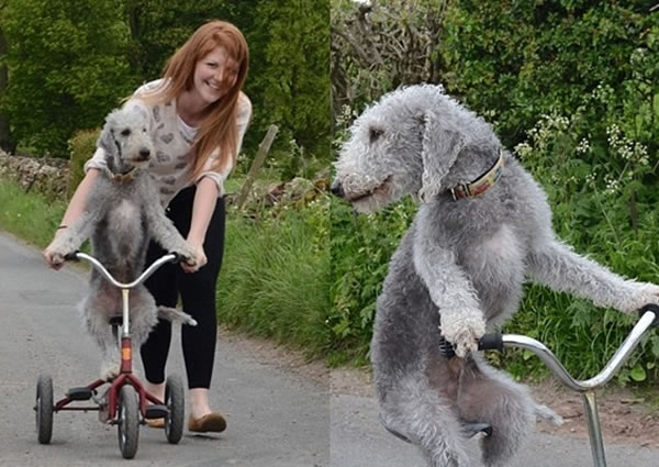 ����δ��̤��̤����ʱ��Ҫ�����Ƴ�ǰ�С�