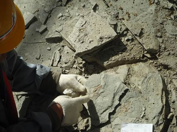 ȺȺʯһ㶼ʵؽΪӲҳ֮УҪǽҰɼҪõʴӡ˹ȹߡ