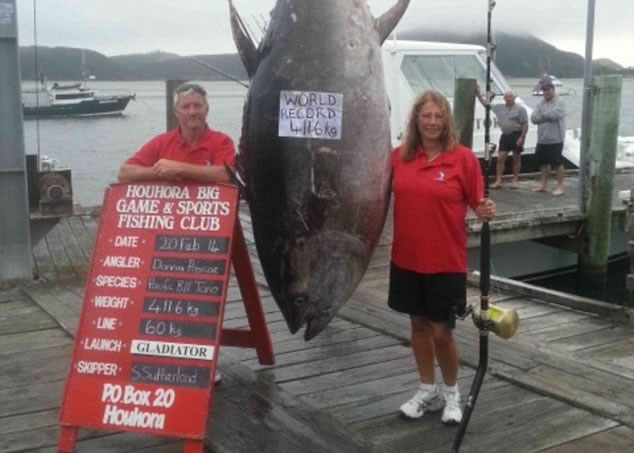 ��˹�ƣ��ң������������������������㣬���������¼��