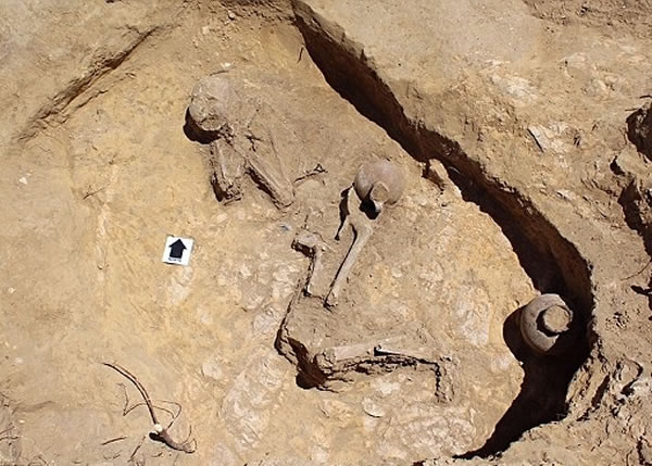 ���ǳ��������������������ơ�