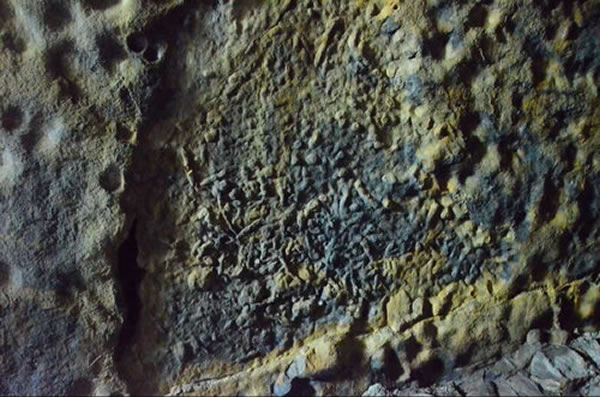 ƽ־Լһڰǧǰ٪޼ڳ漣ʯ