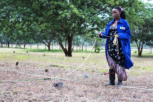 կѵ̽ף20ӿ̽׹5칤