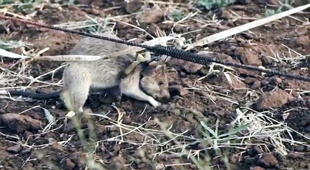 կѵ̽ף20ӿ̽׹5칤