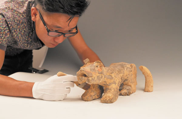 ��������ս����Ĺ�����������Ĳ�����Ĺ�ޡ�