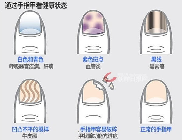 ָ�׳��ֲ�ͬ��ɫ����̬�����ʾ���켲�������ס�