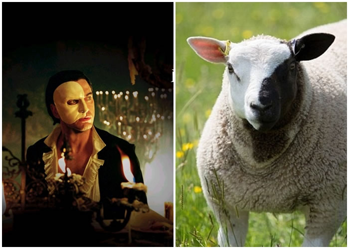 ����Ӱ��������أ����ơ�������Ӱ�������ǣ���Ϊ�����³衣