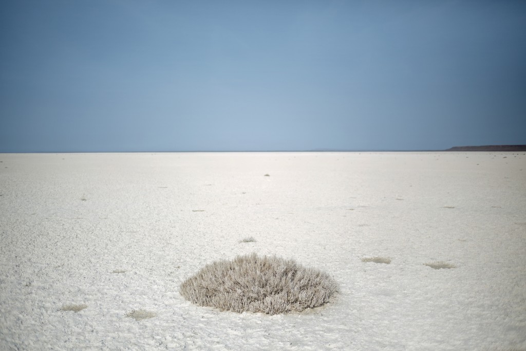 在哈萨克共和国境内,原本是咸海海床的这片土地已经成为一片盐盘,且含有种植棉花所使用的微量化学物。 Photographs by Carolyn Drake