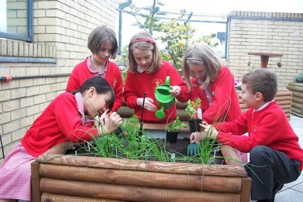 ��ѧУ�Ӵ���ɫ�ռ���Сѧѧͯ����֪��չ֮�����һ����ϵ