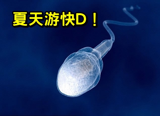 ������������Ϊ��Ծ