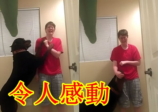 雅各布斯边哭边拍打自己,其爱犬用一双前肢阻止她。