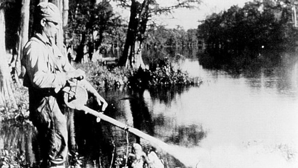 农药二氯二苯三氯乙烷(DDT)可让乳腺癌风险翻四番