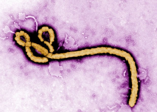 ����������ȥ�������Ƕ������