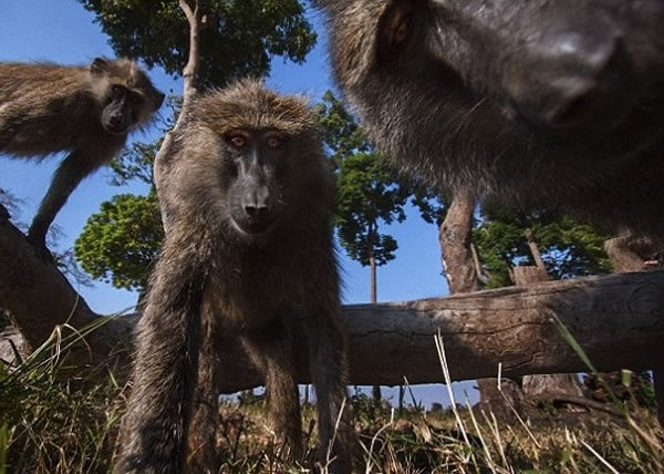 ���о���ʾ��������ʶ����Դ��������