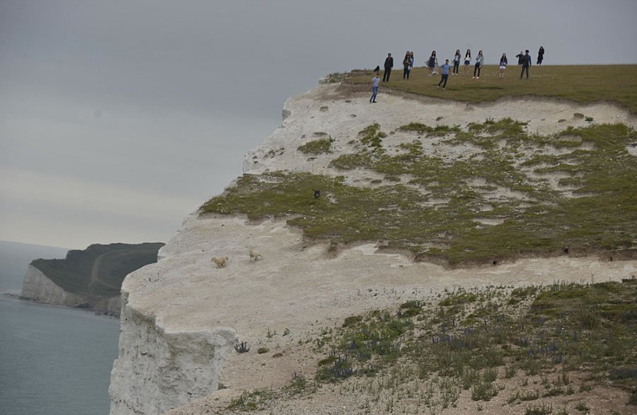 Ӣ���ڹ����׷����ֻ����ʹ����������׹��