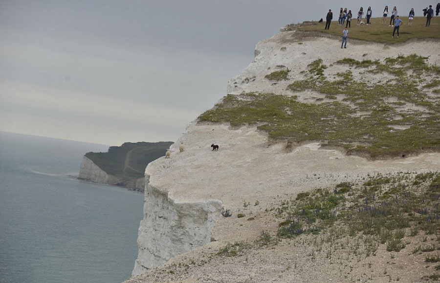 Ӣ���ڹ����׷����ֻ����ʹ����������׹��