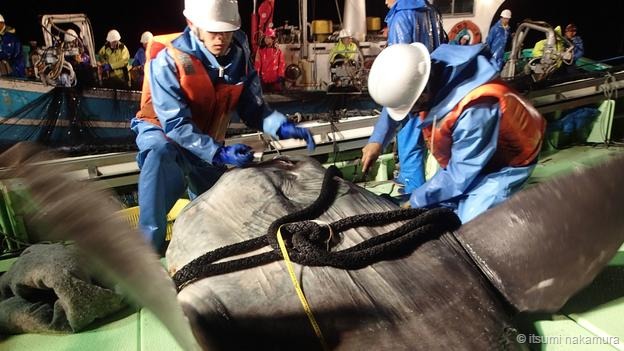 ��ѧ���ڷ��������ϰ�װ�˴��ƹ����������Լ�¼���ǲ���ʱ�ľ����������Щ�豸��ӷ�������������Ȼ���룬��ѧ�ұ�����ռ�����������õ����ݣ���ʾ�˷���������ʱ�ں�