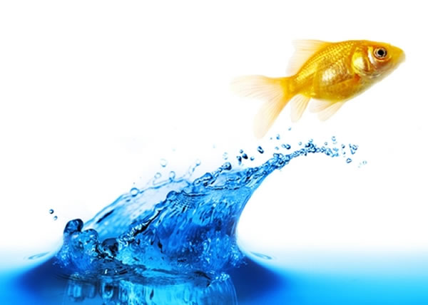 涉事女婴因一条活鱼跳入口而噎死。(资料图片)