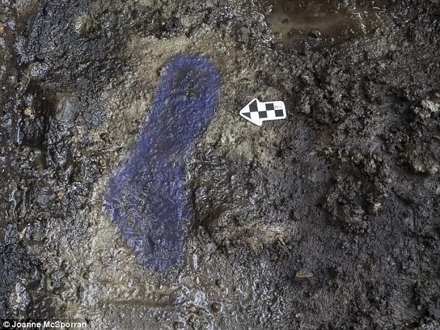 加拿大西海岸卡尔弗特岛发现北美最早古人类脚印化石 距今1.32万年