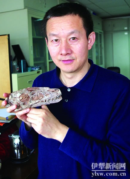 徐星展示帝龙头骨化石