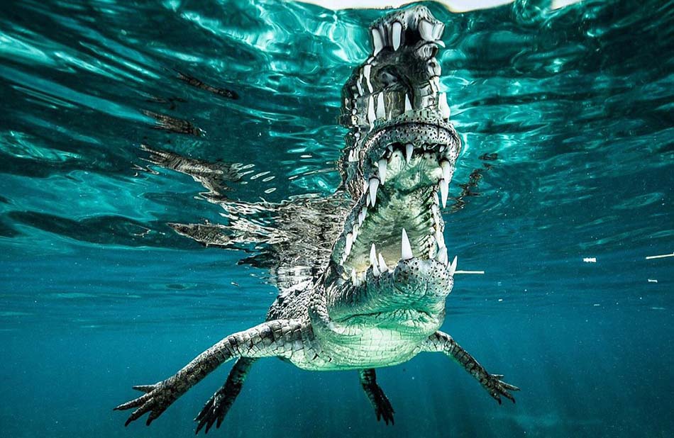 ���������峤����3.6�ף���˹������������ʱû���κη����豸