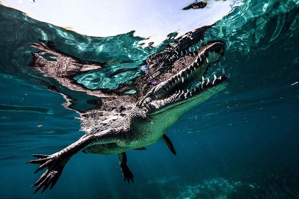 ��˹�����ε���������ǳ����ĵط���ץ�ĵ������������ŵ���Ƭ�����������ſ����������