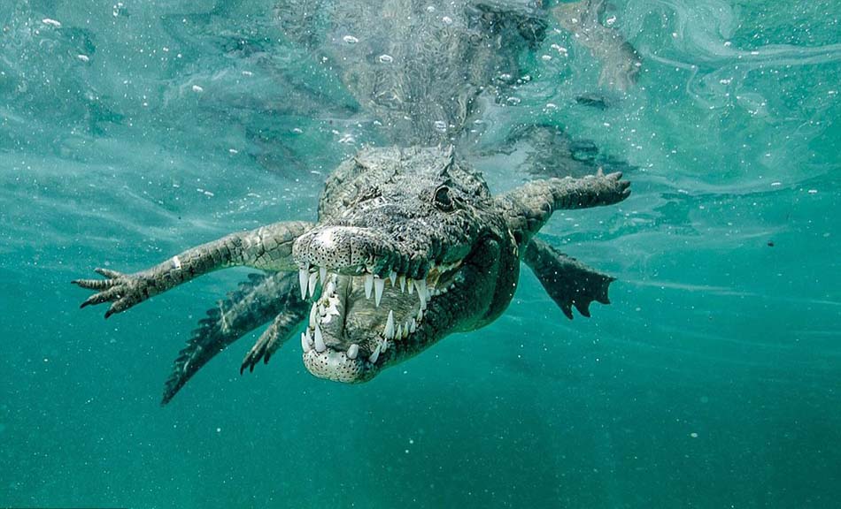 ��˹���嵱ʱ���ڹŰ�Ů����԰����԰��Ǳˮ������������������