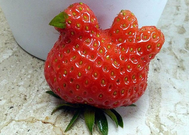 �ո���ũ���֡��ּ���ʿ��ơ��