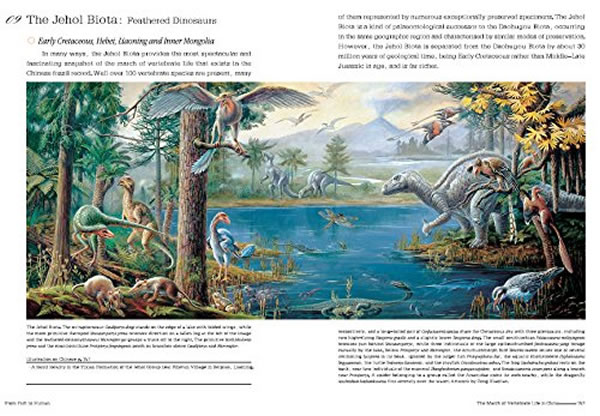 《征程:从鱼到人的生命之旅》