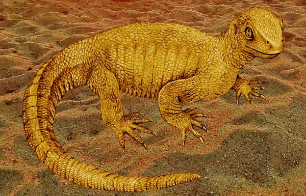 《自然》杂志发表一种曾生活在2.4亿年前的原始龟类“祖龟”