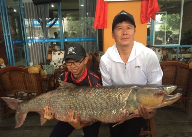 四川成都一对刘姓父子与友本月25日晚上9时许到三岔湖钓鱼时,遇上一条长约1.63米,重约49公斤的大鱼。