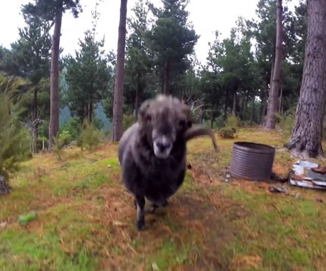 ����������˻�