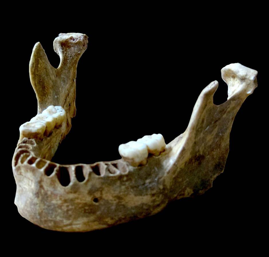 ���������һ��������4����ǰ���ִ��ˡ�������һЩ�ᰲ�����˵���������DNA�о�Ҳ֤ʵ�������һ���ᰲ�������ȣ�����֮��ֻ���������� Photograph by