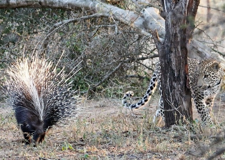 �������������������