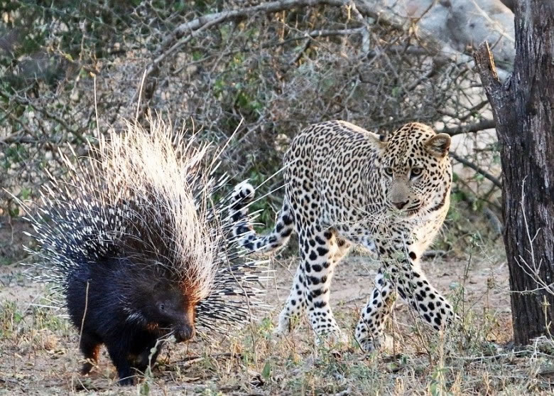 �����ӽ�����