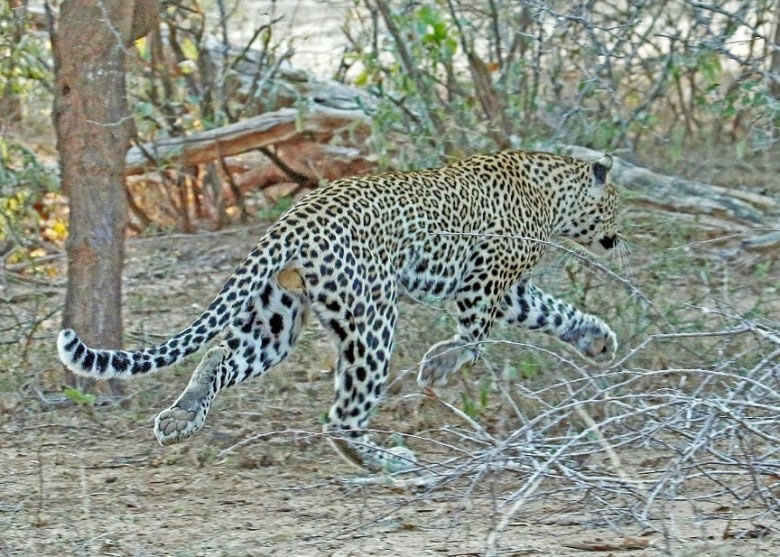 �ۼ����޴���ڡ����������հ��ߡ�