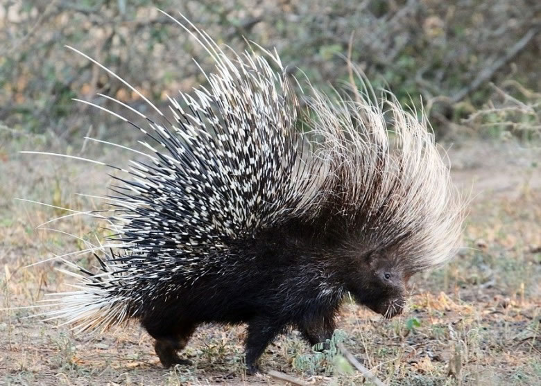 ����������뿪���Σ��֮��