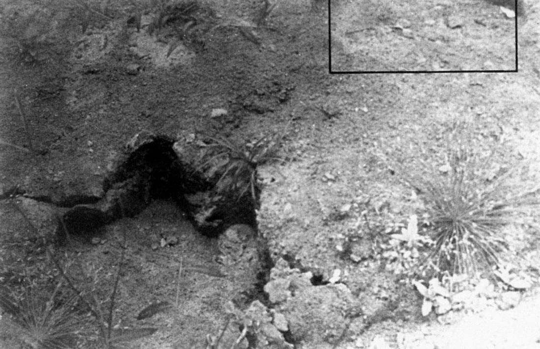 ޸չ̩ʷǰƹΪĪʰ