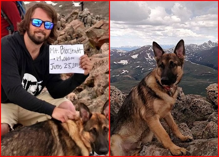 哈德曼(左图)被雷电击中,幸得兰保(右图)在旁卸去电流保命,可惜兰保为此牺牲了。