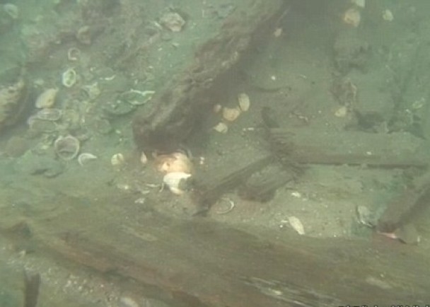 池田荣文确认,该2艘船就是当年蒙古意欲入侵日本所派出的船舰。