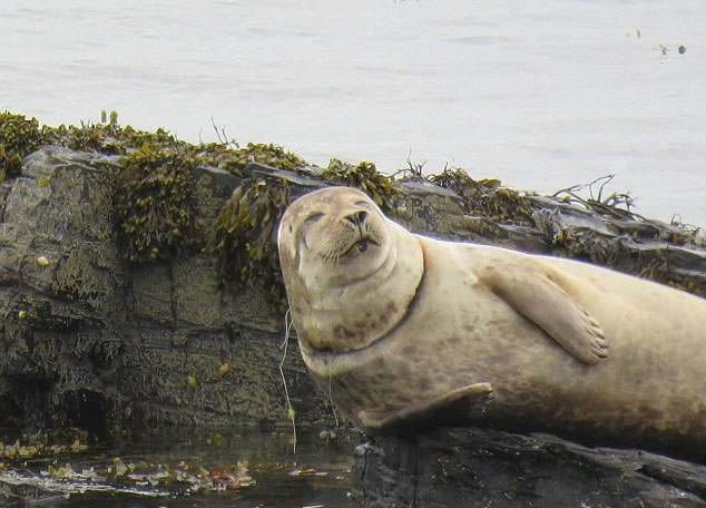 ��˿�������뺣������