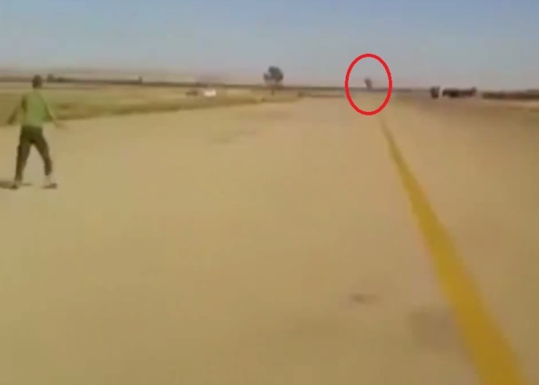 Զ������¡¡���죬һ�ź�Ӱ����Ȧ��ͻȻ���֣������Ʋ�֪���¡�