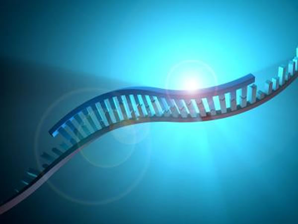 �����к��зḻ��RNAȺ��������ָ�����ײ��������ػ������ķ��ӡ��о���Աȷ����һ�龫��RNA�ɷ֣����ǻ����������������Ҫ��